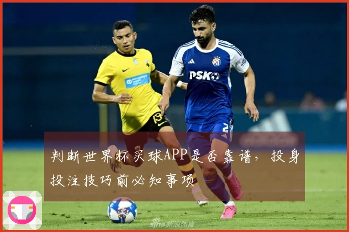 判断世界杯买球APP是否靠谱,投身投注技巧前必知事项