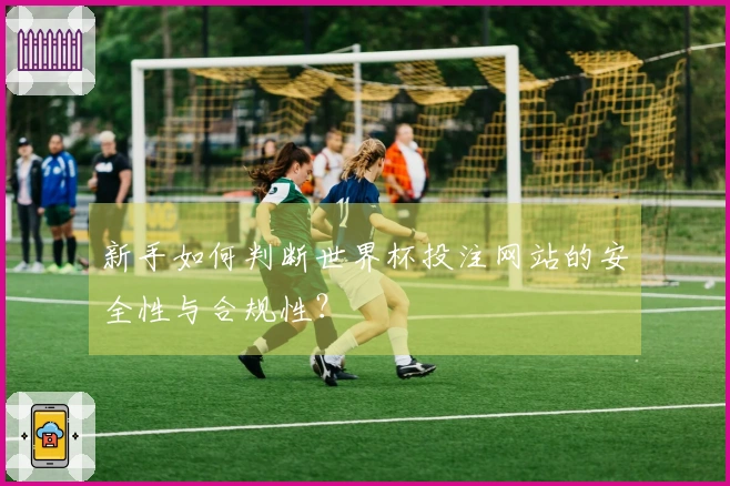新手如何判断世界杯投注网站的安全性与合规性?