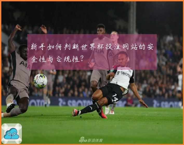 新手如何判断世界杯投注网站的安全性与合规性？